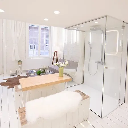 Loft Apartment *